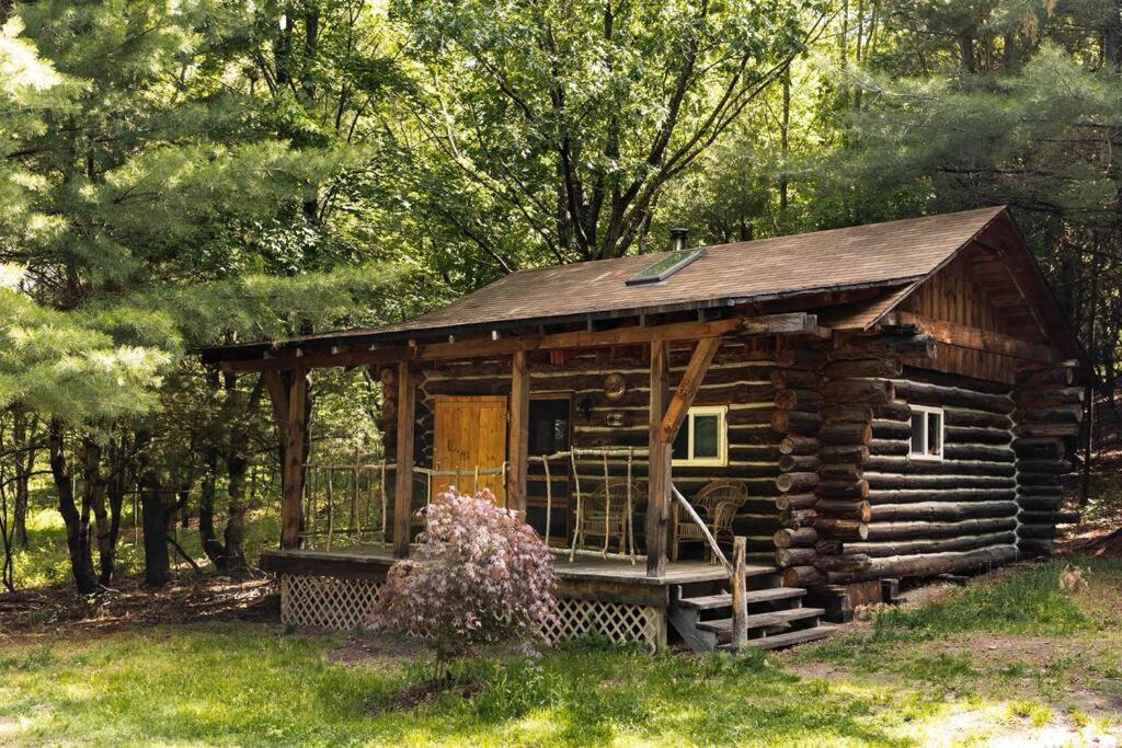 Rustic Ridge Villa Penn Yan Luaran gambar